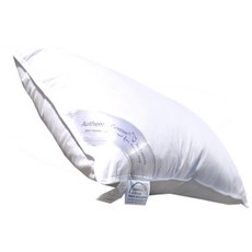 環保 100% 純棉四季酒店鵝枕 A, 單色, 40 x 60 厘米