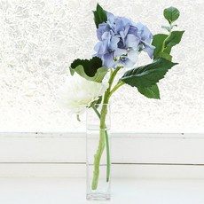 ASPASIA 皮爾尼繡球花雙方花瓶套件, 天藍色