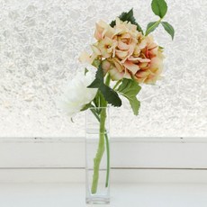 ASPASIA 皮爾尼繡球花雙方花瓶套件, 蜜桃色