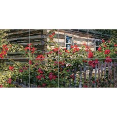 Landscape 539 담장에 핀 들장미 8개, 혼합색상