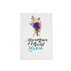 다예 baby 4월탄생 드라이플라워, 1개