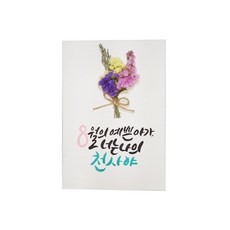 다예 baby 8월탄생 드라이플라워, 1개