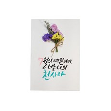 다예 baby 7월탄생 드라이플라워, 1개