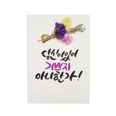 다예 격려 당신이 있어 기쁘지 아니한가 드라이플라워, 1개