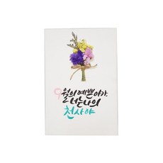 다예 baby 9월탄생 드라이플라워, 1개