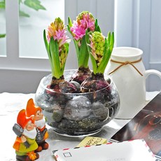 HAPPY WORLD 橢圓玻璃, 單色