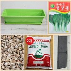 행복한세상 텃밭가꾸기 대 그린 청경채, 1개