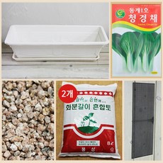 행복한세상 텃밭가꾸기 대 화이트 청경채, 1개