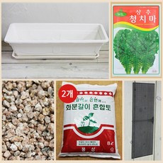 행복한세상 텃밭가꾸기 대 화이트 청치마상추, 1개