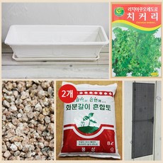 행복한세상 텃밭가꾸기 대 화이트 치커리, 1개