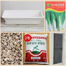 행복한세상 텃밭가꾸기 대 화이트 흑금장파, 1개