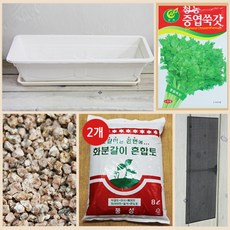 행복한세상 텃밭가꾸기 대 화이트 쑥갓, 1개