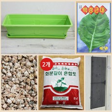행복한세상 텃밭가꾸기 대 그린 근대, 1개