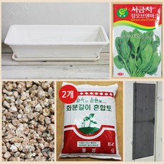 행복한세상 텃밭가꾸기 대 화이트 시금치, 1개
