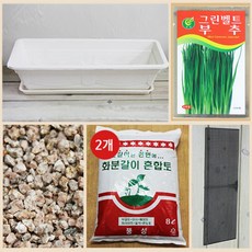 행복한세상 텃밭가꾸기 대 화이트 부추, 1개