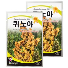 세계종묘 퀴노아 2g, 2개