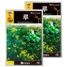 세계종묘 루 80립, 1개입, 2개
