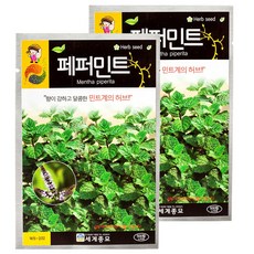 세계종묘 페퍼민트 500립, 2개