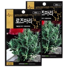 세계종묘 로즈마리 20립, 1개입, 2개