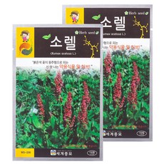 세계종묘 소렐 150립, 1개입, 2개