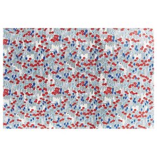 W CM 20支平織夢想象牙白布料 110*900cm, 1個