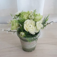 Flower Mart雛菊復古綠色花盆, 奶油