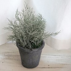 플라워마트 틸란시아드 엔틱포트, 그레이, 1개