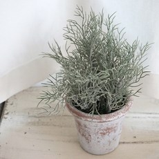 플라워마트 틸란시아드 엔틱포트, 화이트, 1개