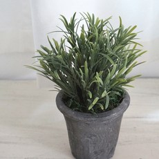 플라워마트 후로킹로즈마리 엔틱포트, 그레이, 1개