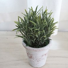 플라워마트 후로킹로즈마리 엔틱포트, 화이트, 1개