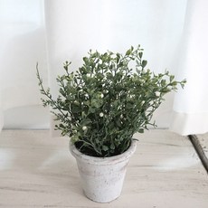 Flower Mart珠子 Berry Pick復古花瓶, 白色的