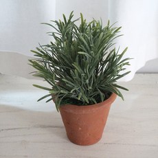 플라워마트 후로킹로즈마리 엔틱포트, 레드, 1개