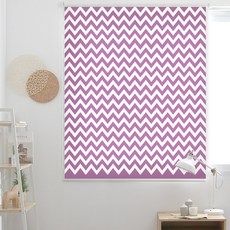 끌래망스 몬스터 롤스크린 일반