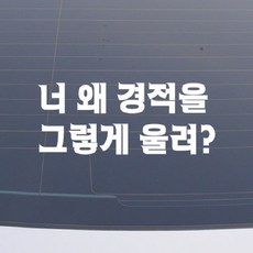 설레임 초보운전/CHS056 차량스티커, 1개
