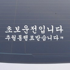 설레임 초보운전/CHS053 차량스티커, 1개