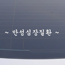 설레임 초보운전/CHS054 차량스티커, 1개