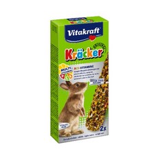 비타크래프트 크래커 멀티 비타민 레빗, 1개