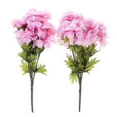 Dawoo F&G 萬壽菊叢, 2個, 粉紅色