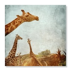 디아섹액자 벽걸이용, African Animals