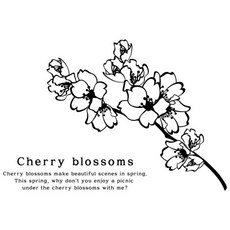 Deco Sarang 圖案貼紙 Marcia, A 黑色