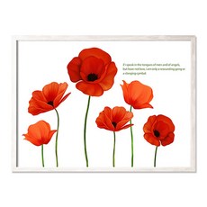 네츄럴이미지 10-08F003AF-1 액자, 혼합 색상