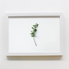 From Twenty 照片弗朗德設計相框, 白色的, 1個