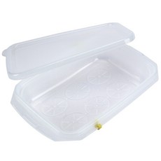 알알이쏙 플러스1구 화이트, 600ml, 1개