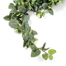 다우에프앤지 조화, 휘토니아바인, 1개