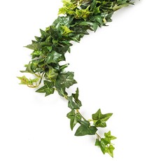 다우에프앤지 조화, 이이비바인, 1개