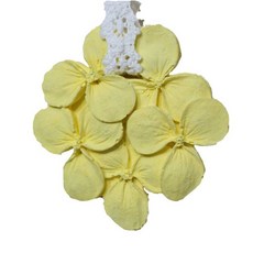 Mippeuda 美麗的繡球花黃色, 含羞草