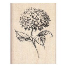 잡다구리 우드스탬프, HYDRANGEA, 1개