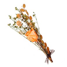 다우에프앤지 장미 프리져브드, 오렌지장미, 1개