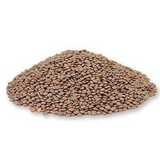 두손애약초 검은렌틸콩, 1kg, 1개