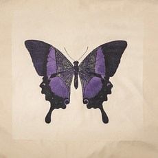 ccoczzi 蝴蝶圖案被單, 混色